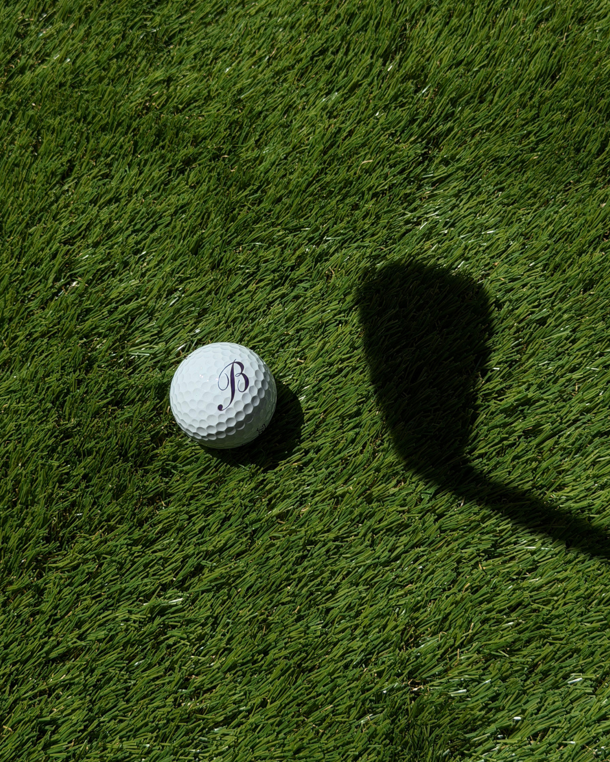 Blakeman's Titleist Pro V1 Golf Balls