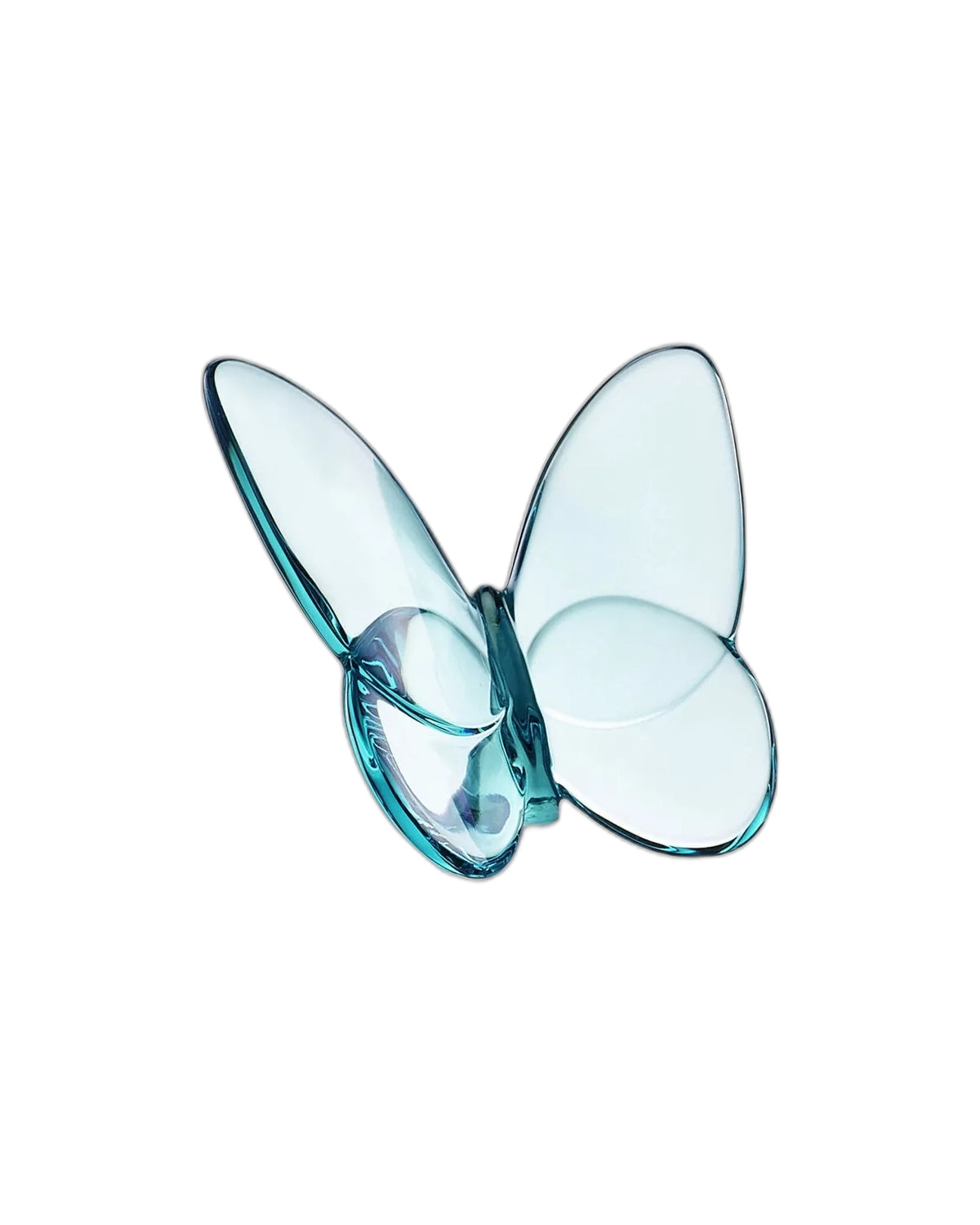 Lucky Butterfly, Turquoise