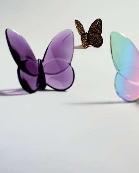 Lucky Butterfly, Turquoise