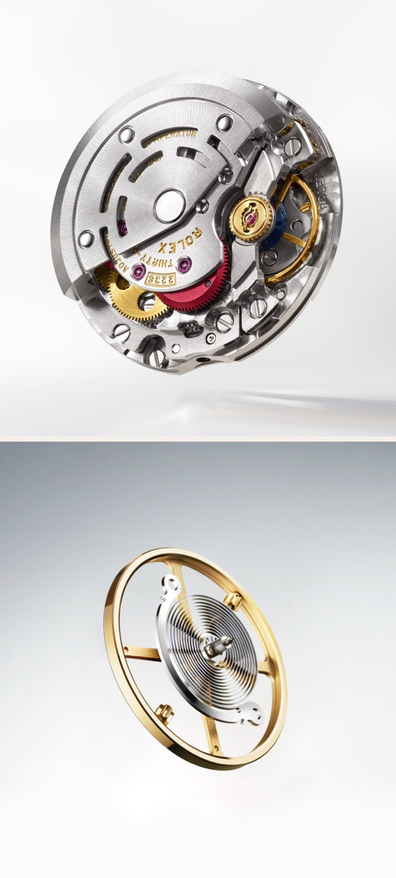 Rolex Lady-Datejust watches - Blakemans Jewelry